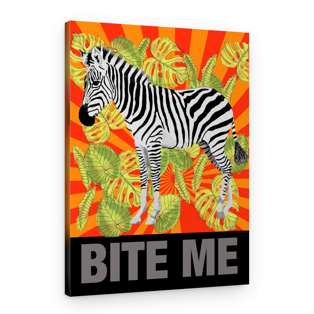 Zebra Says Bite Me – Canvas Print