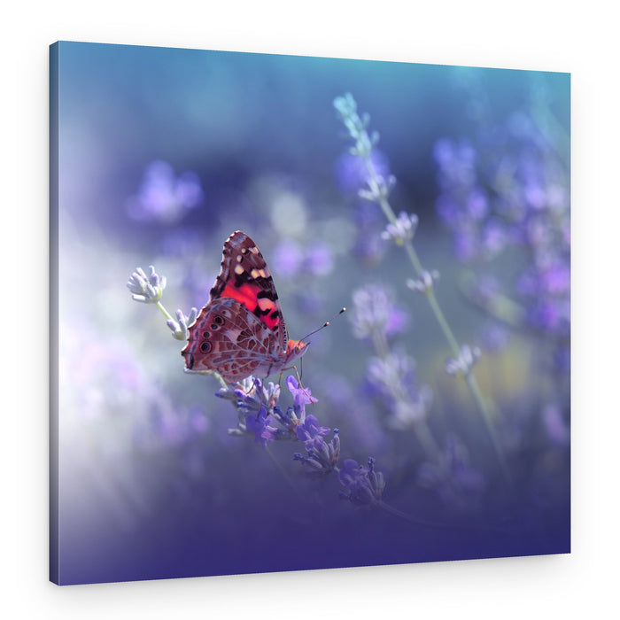 Delicate Lavender Butterfly – Canvas Print