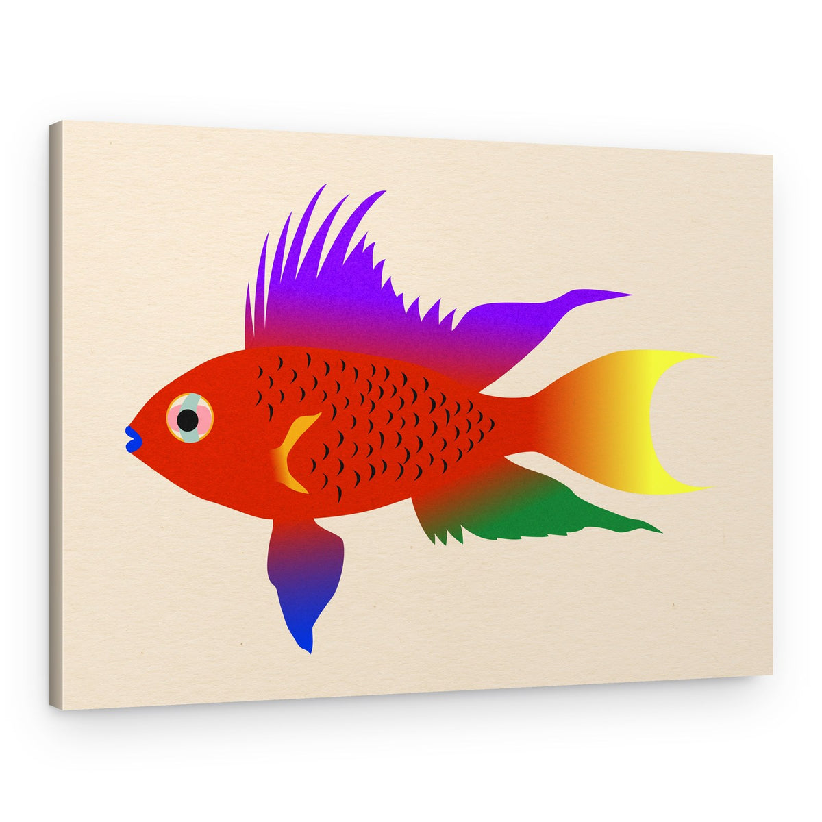 Buntbarsch Hell – Canvas Print