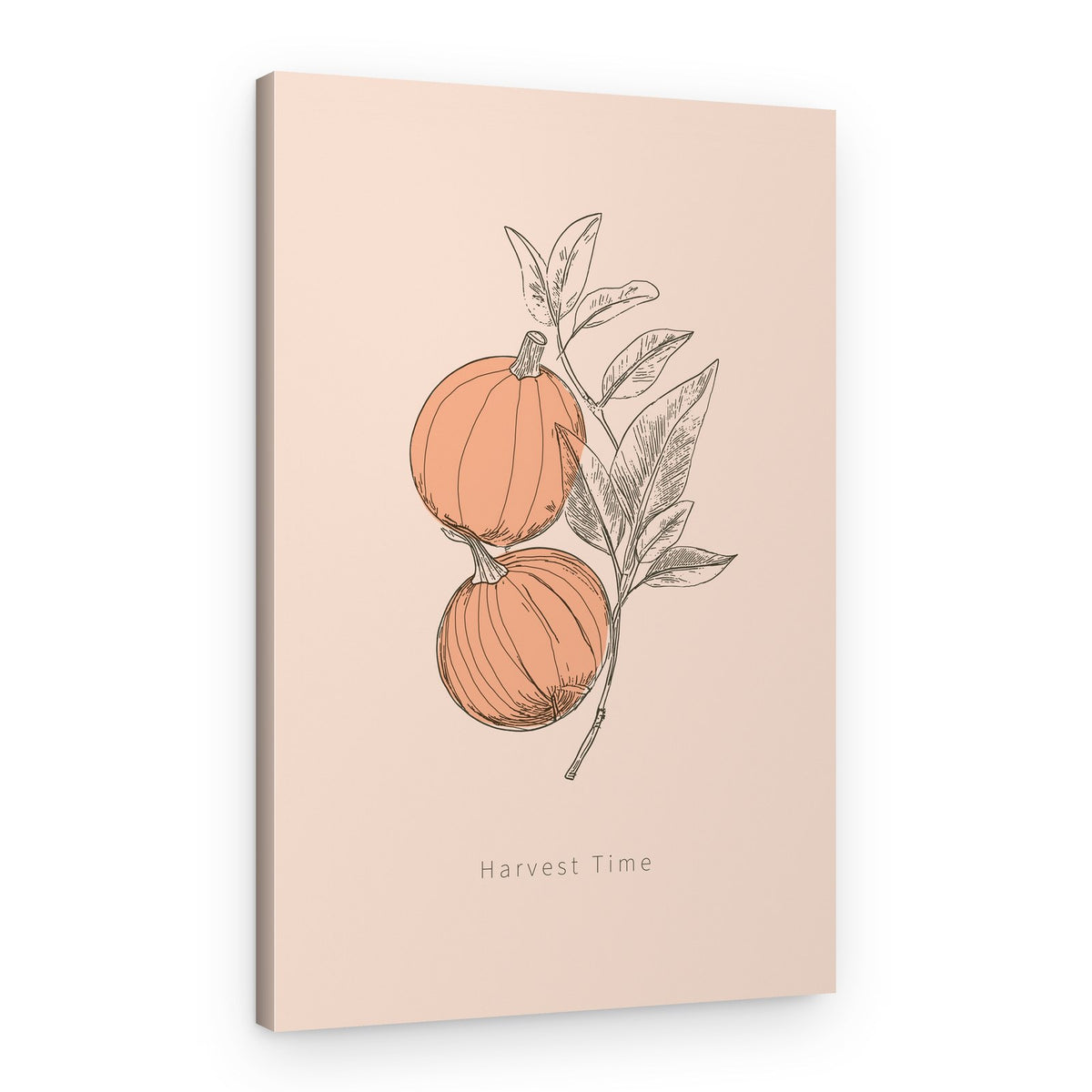 Autumn Pumpkin Illustration – Canvas Print