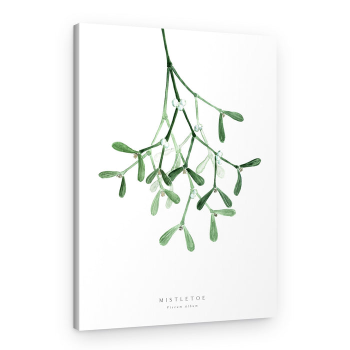 Christmas Mistletoe Watercolor – Canvas Print