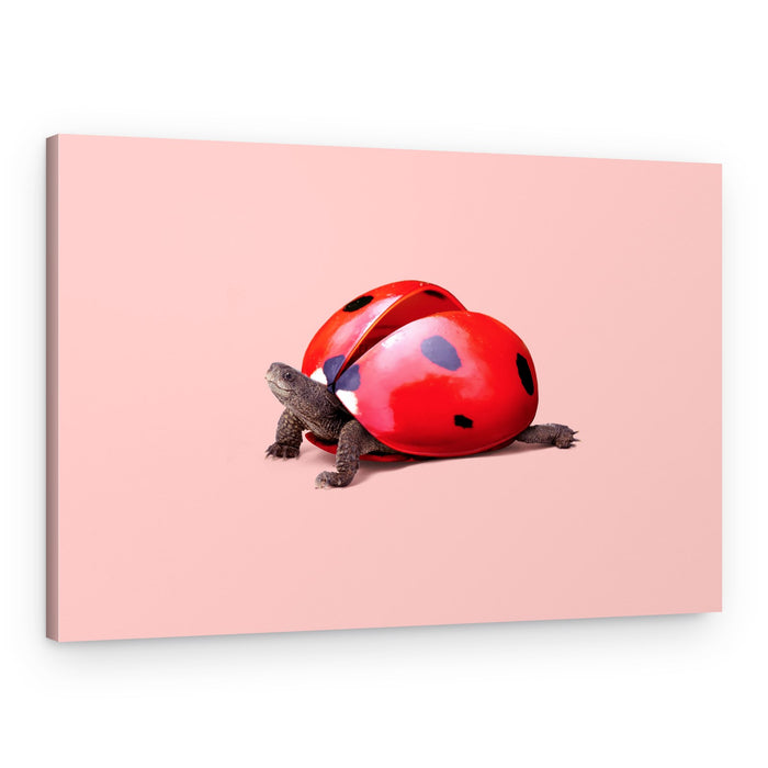 Ladybug Turtle – Canvas Print