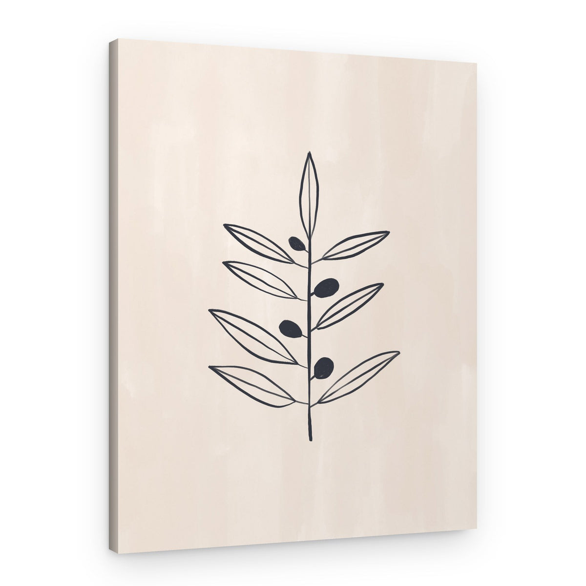 Minimal Olive Branch – Canvas Print