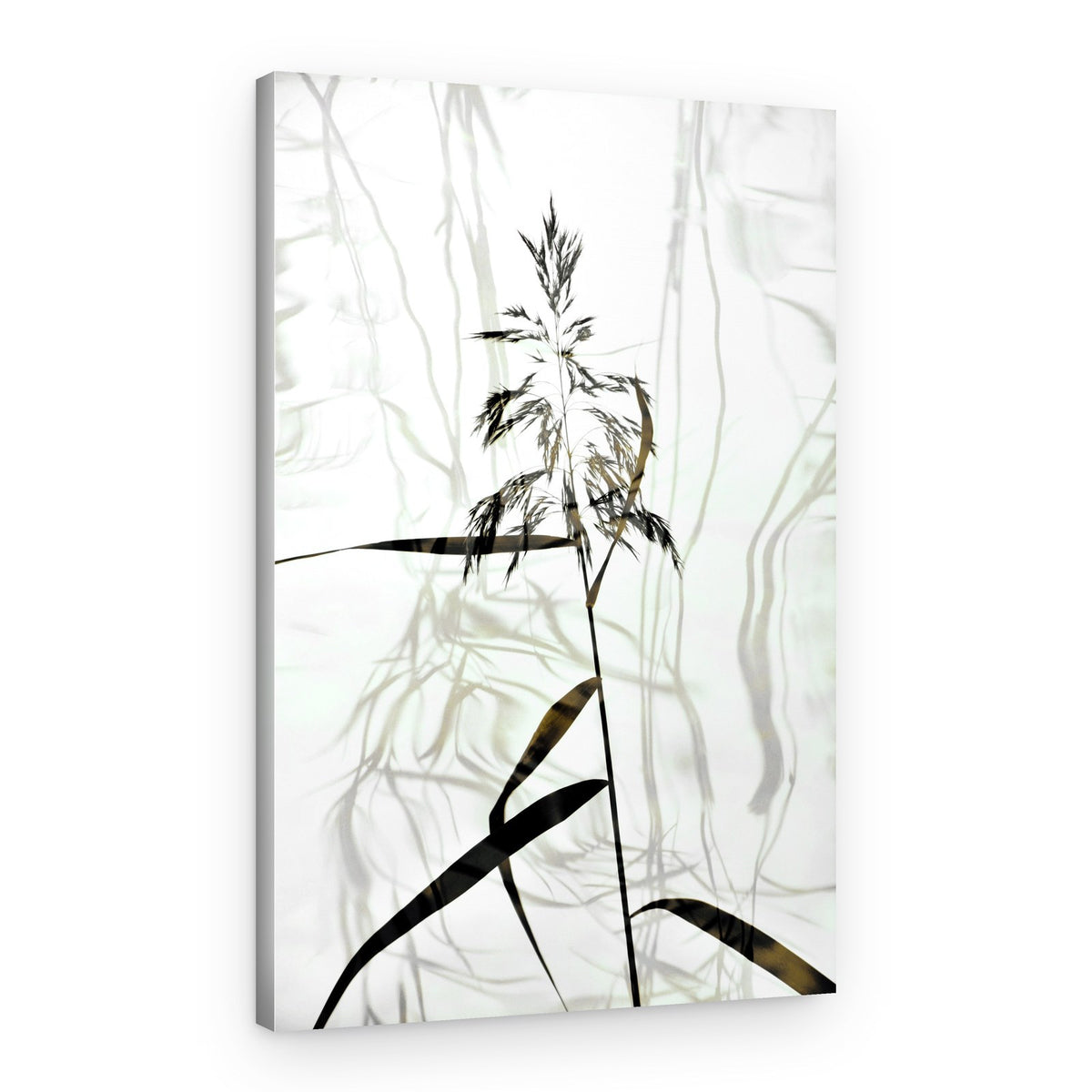 Elegant Reed Silhouette – Canvas Print