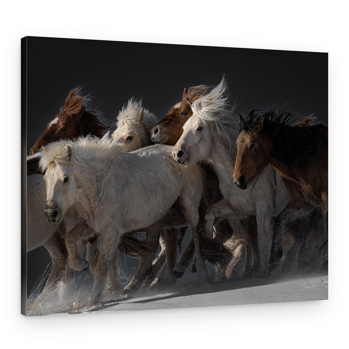 Wild Horses Running – Canvas Print