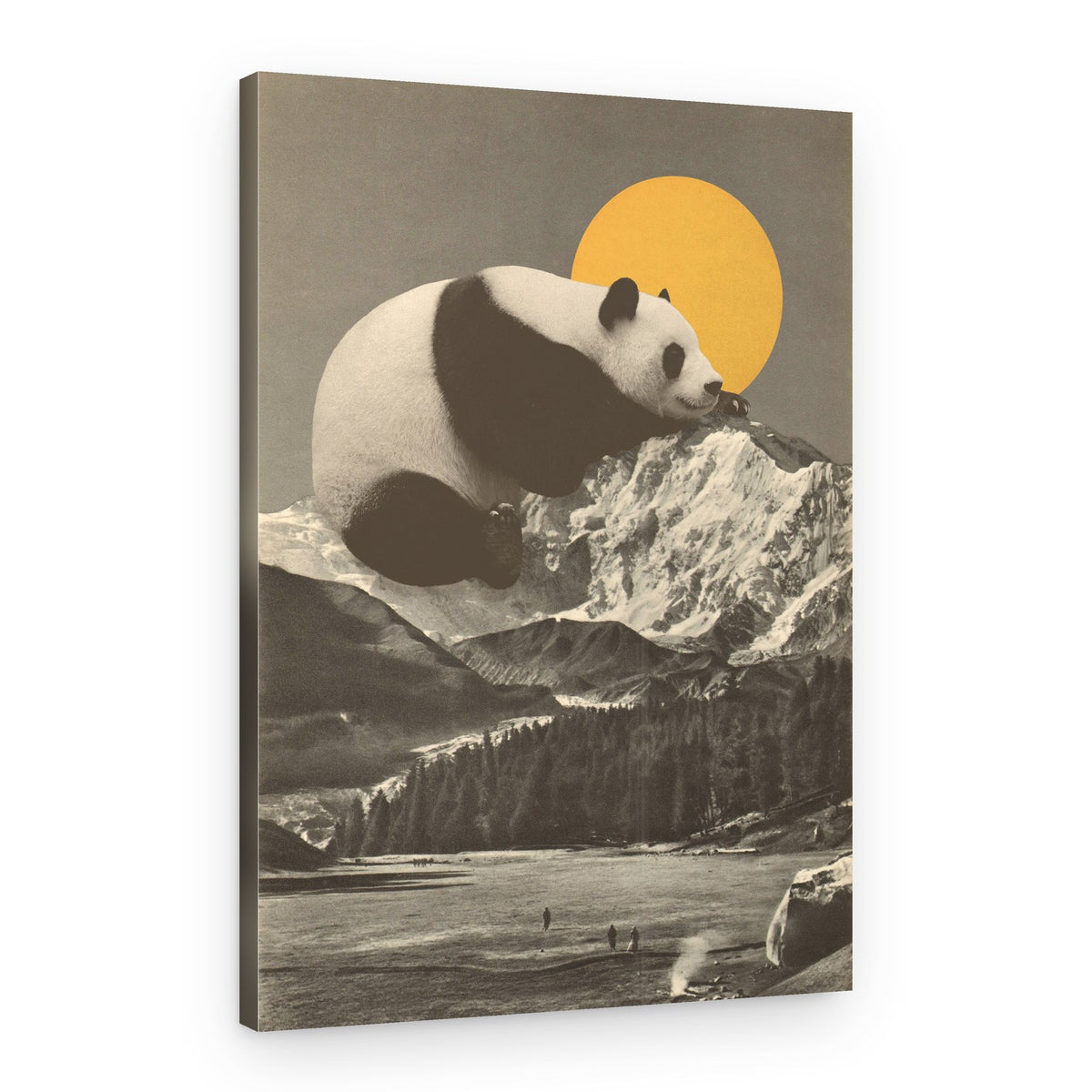 Giant Panda Mountain Slumber – Canvas Print