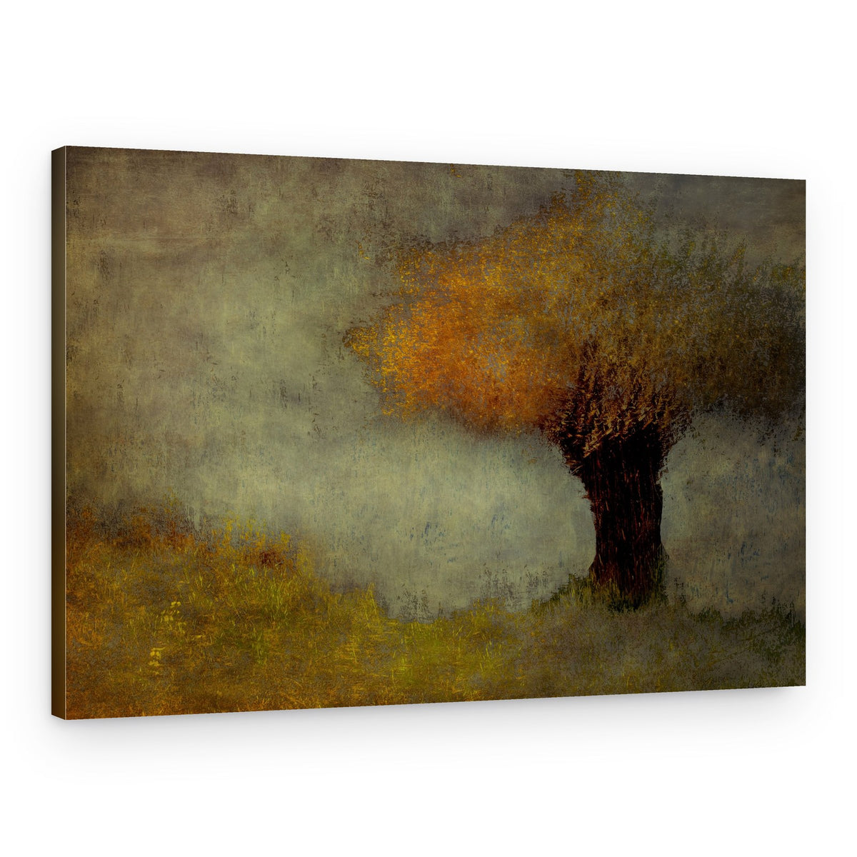 Willow – Canvas Print
