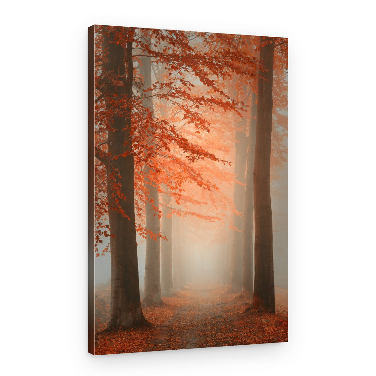 Misty Autumn Forest Path – Canvas Print