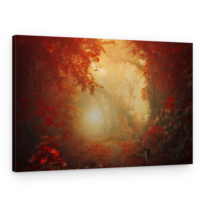 Golden Autumn Pathway – Canvas Print