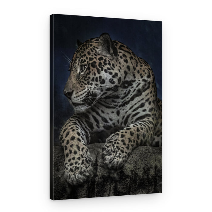Majestic Jaguar Gaze – Canvas Print