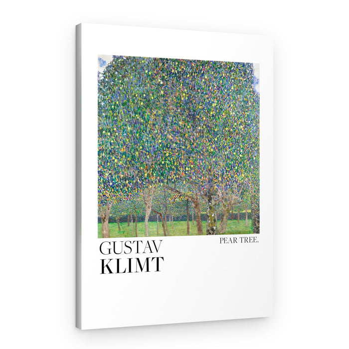Pear Tree (1903) Poster – Canvas Print