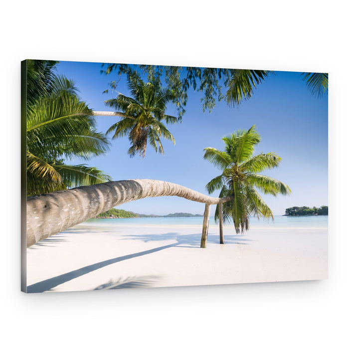 Tropical Palm – Canvas Print