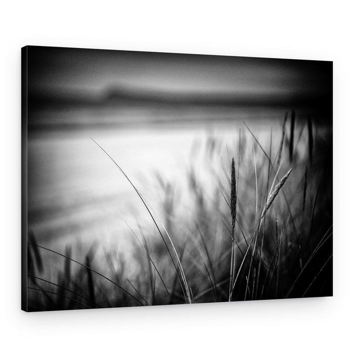 Beach Grass Serenity – Canvas Print
