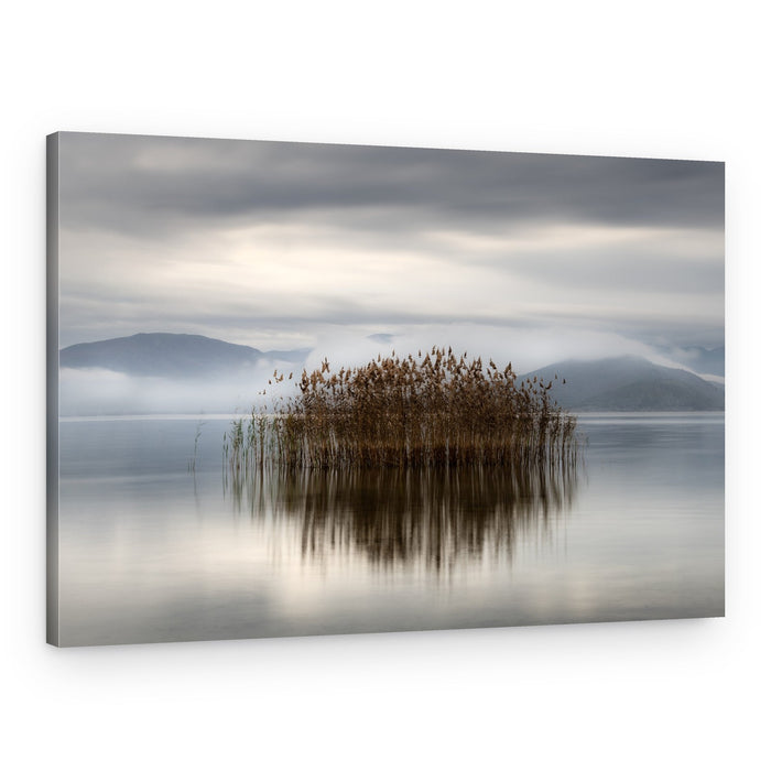 Misty Lake Reeds – Canvas Print