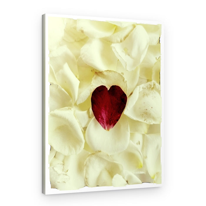 Delicate Rose Heart – Canvas Print