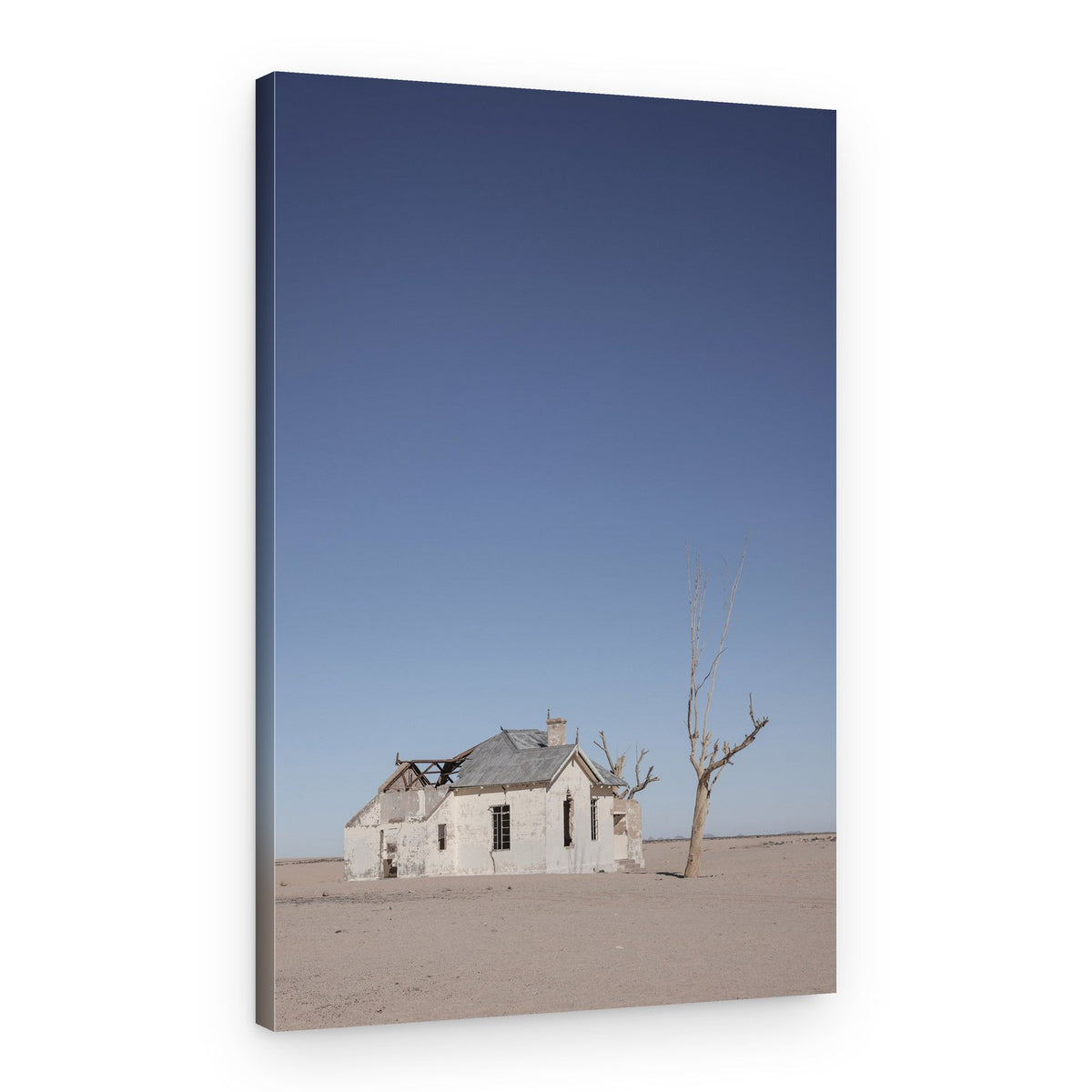 Barren Desert Landscape – Canvas Print
