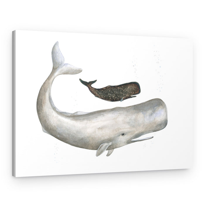 Gentle Ocean Giants – Canvas Print