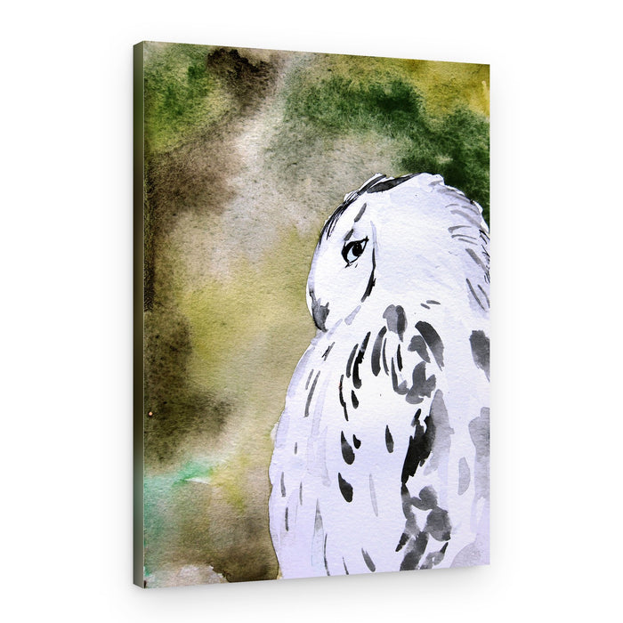 Watercolor Snowy Owl – Canvas Print