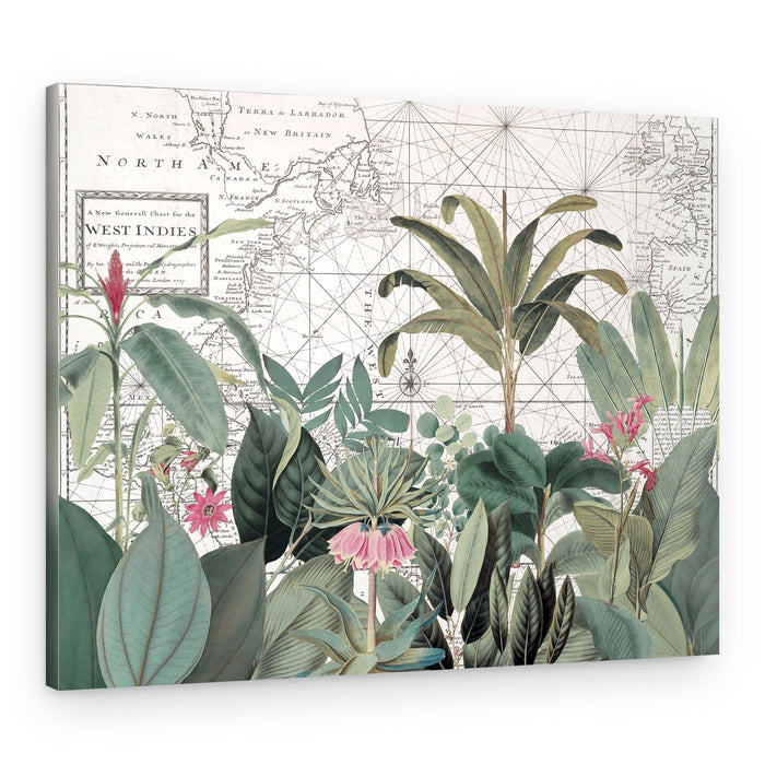 Vintage Map Botanicals – Canvas Print