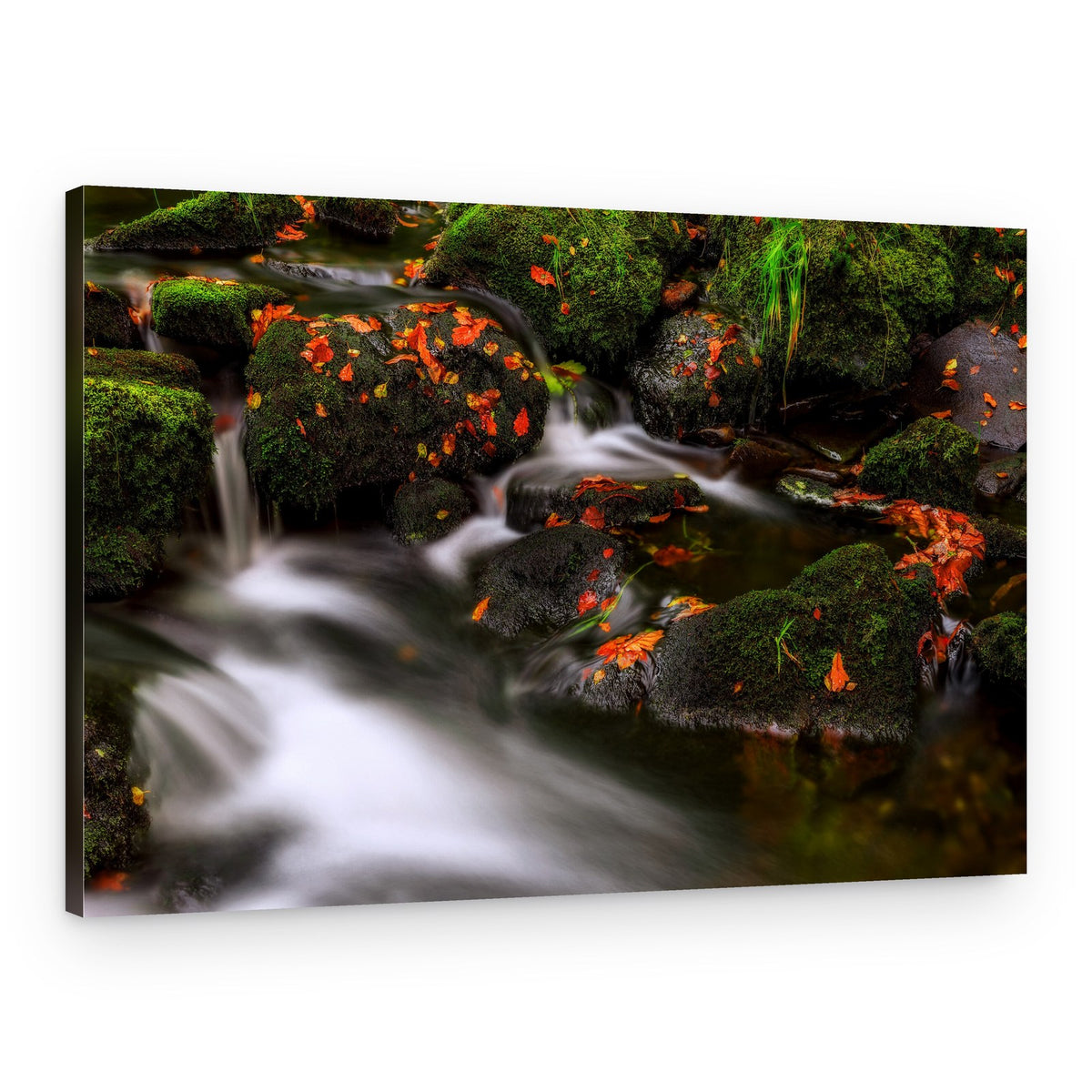 Vibrant Autumn Stream – Canvas Print