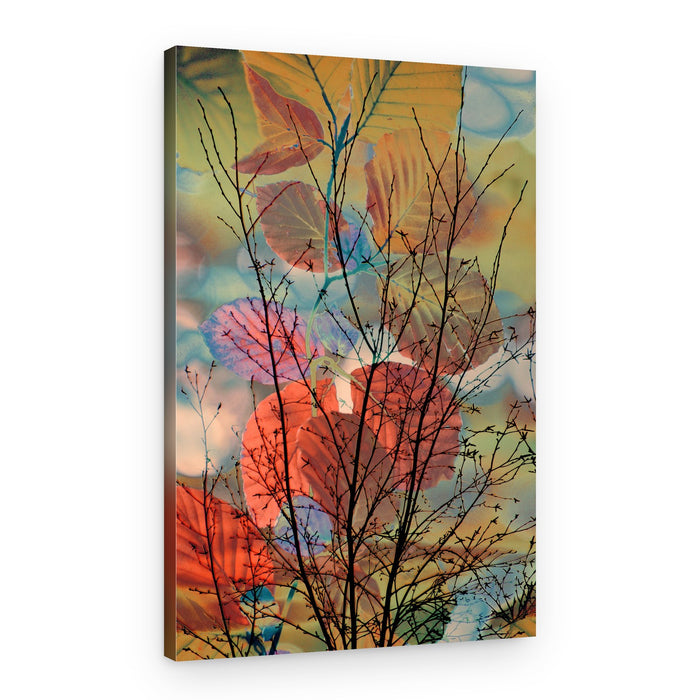 Dreamy Autumn Branches – Canvas Print