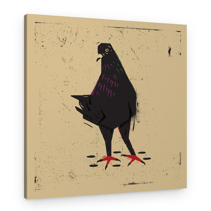 Urban Pigeon Grunge – Canvas Print