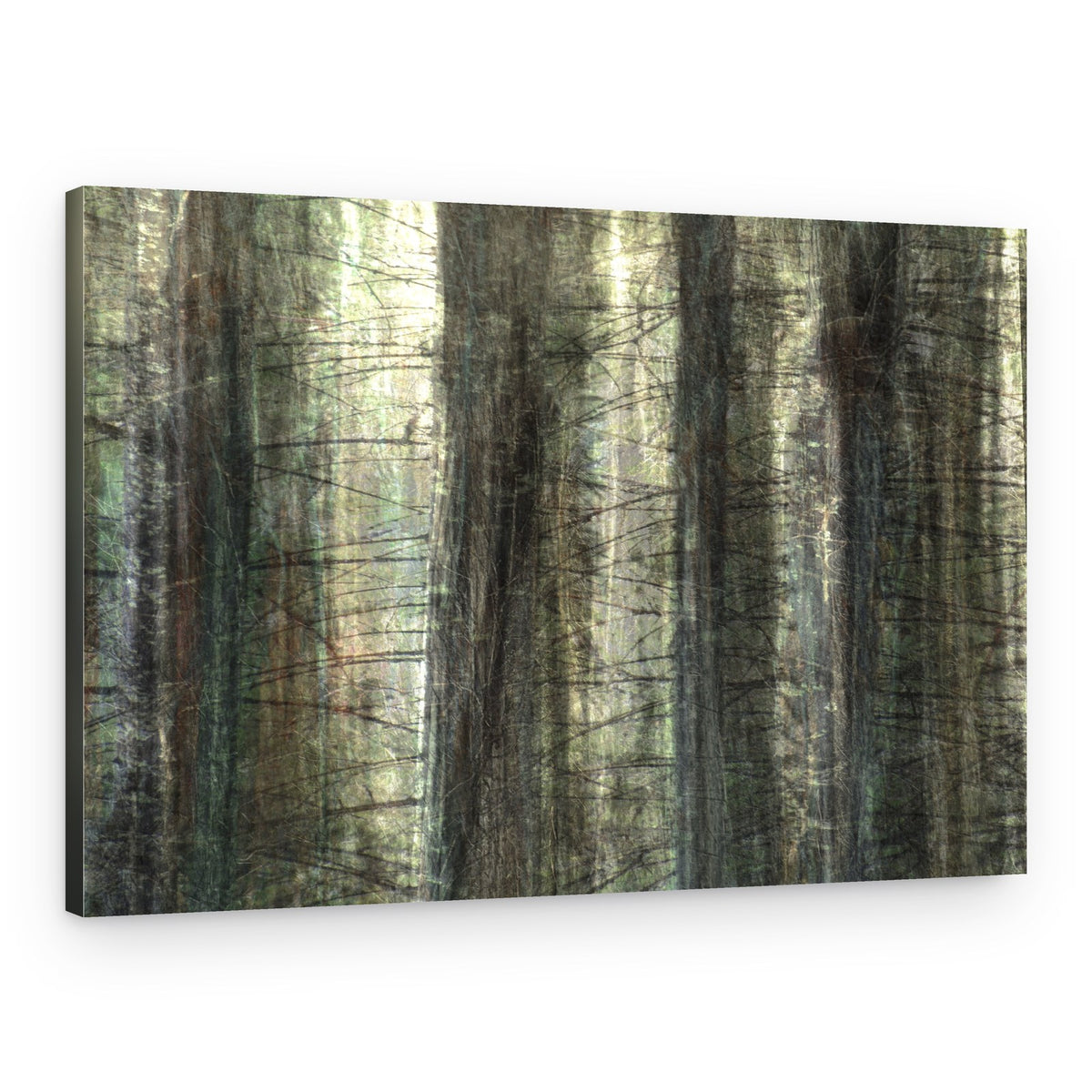 Blurred Forest Light – Canvas Print