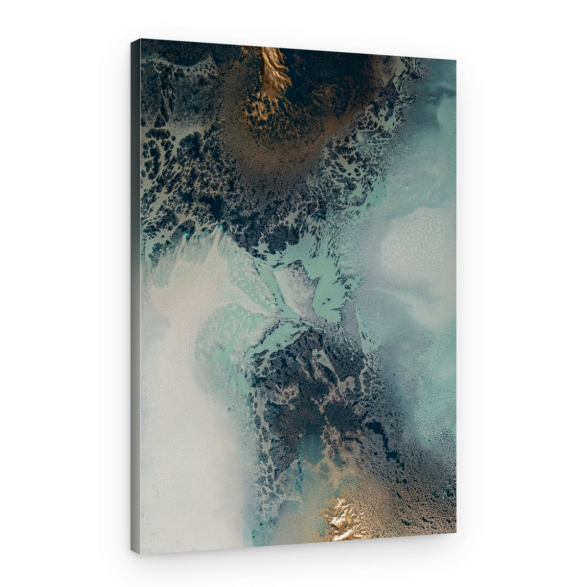 Transition – Canvas Print