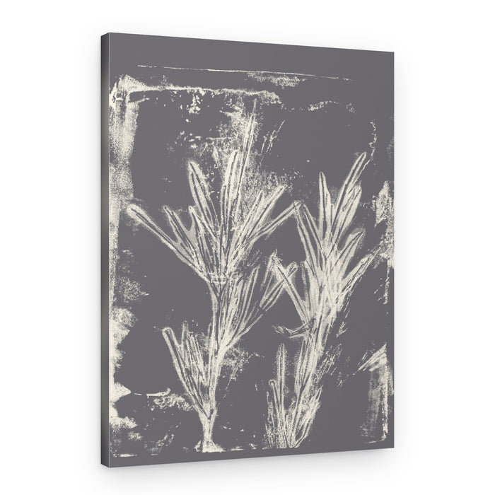 Delicate Plant Branches – Canvas Print