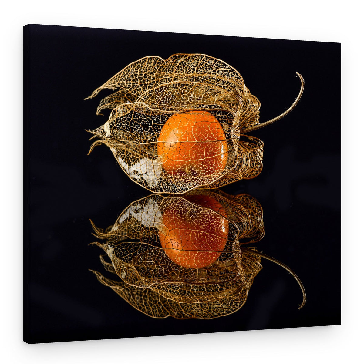Golden Physalis Reflection – Canvas Print