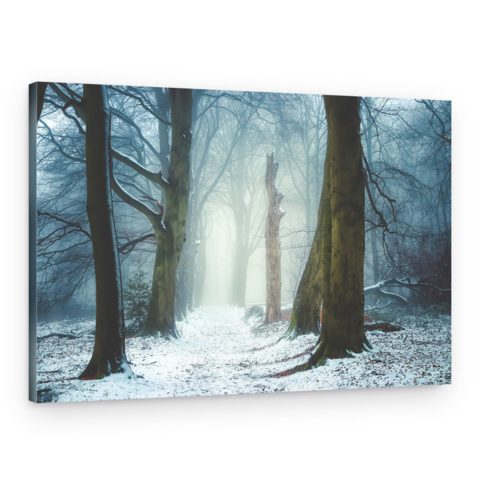 Misty Winter Woods – Canvas Print