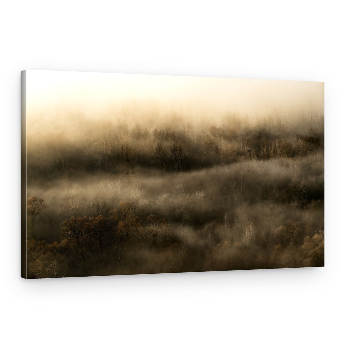 Golden Morning Mist – Canvas Print