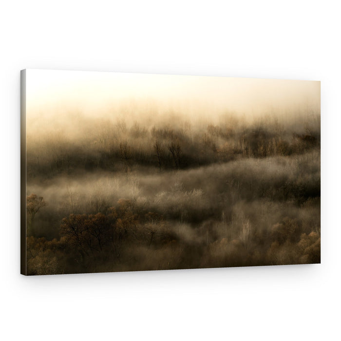 Golden Morning Mist – Canvas Print