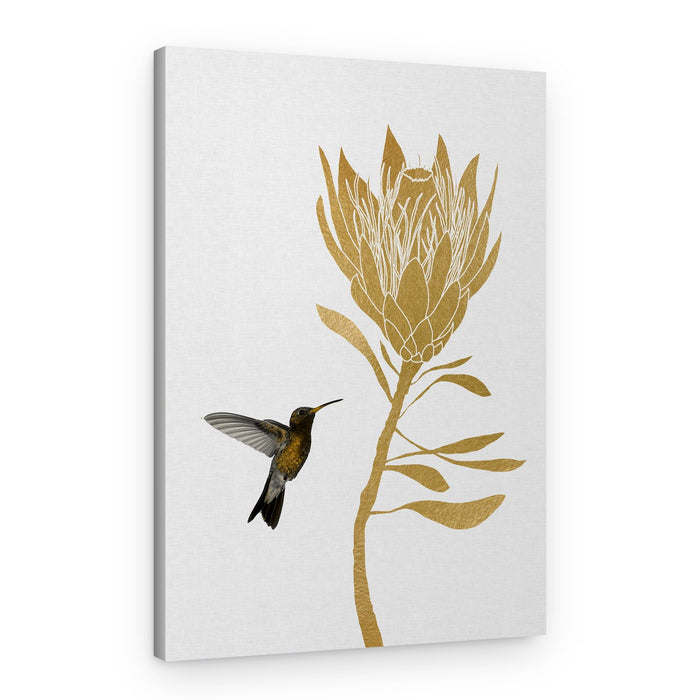 Golden Protea Hummingbird – Canvas Print