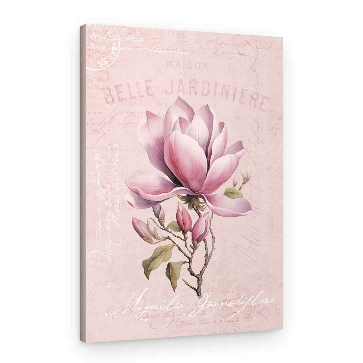 Elegant Pink Magnolia – Canvas Print
