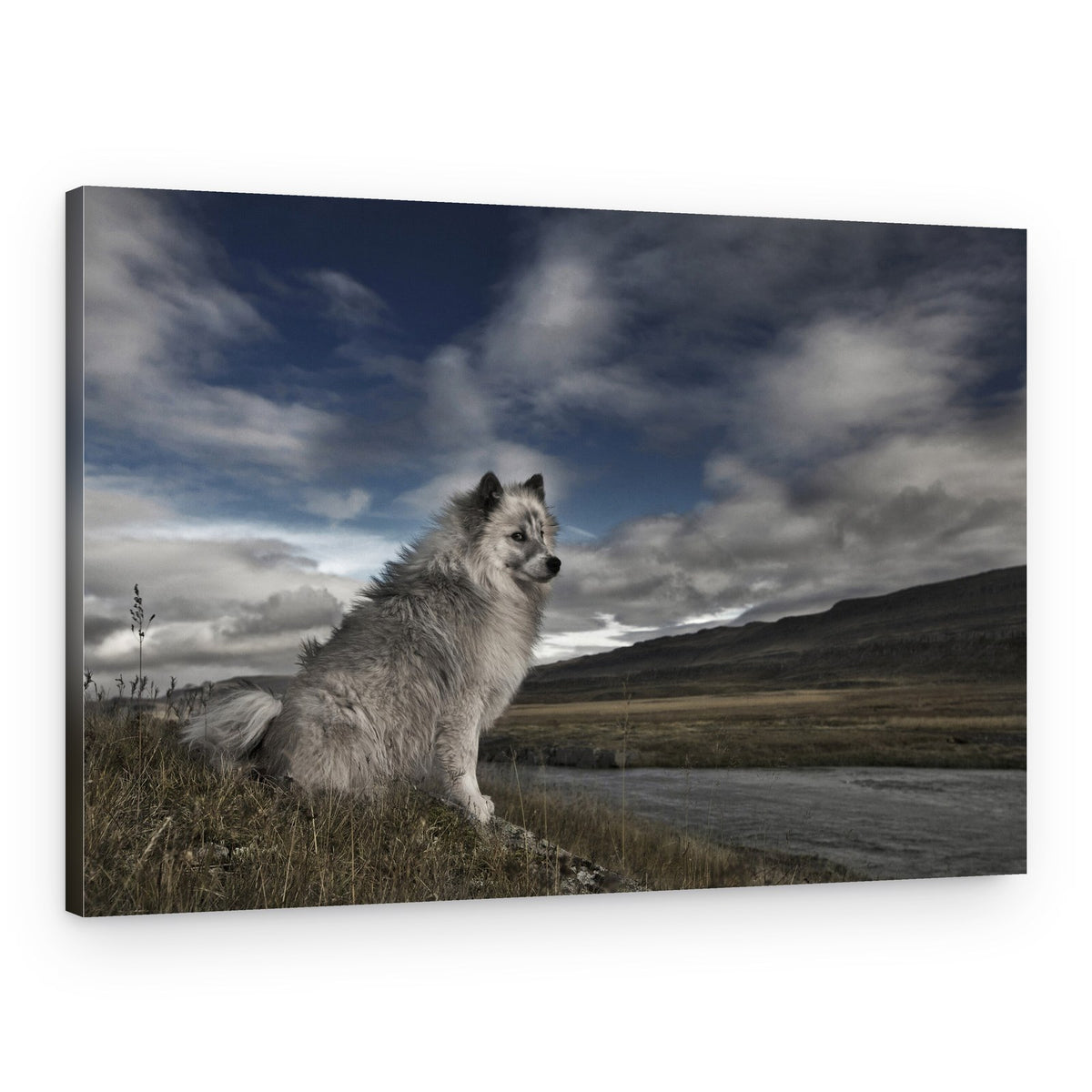 Majestic Dog Mountain River – Canvas Print