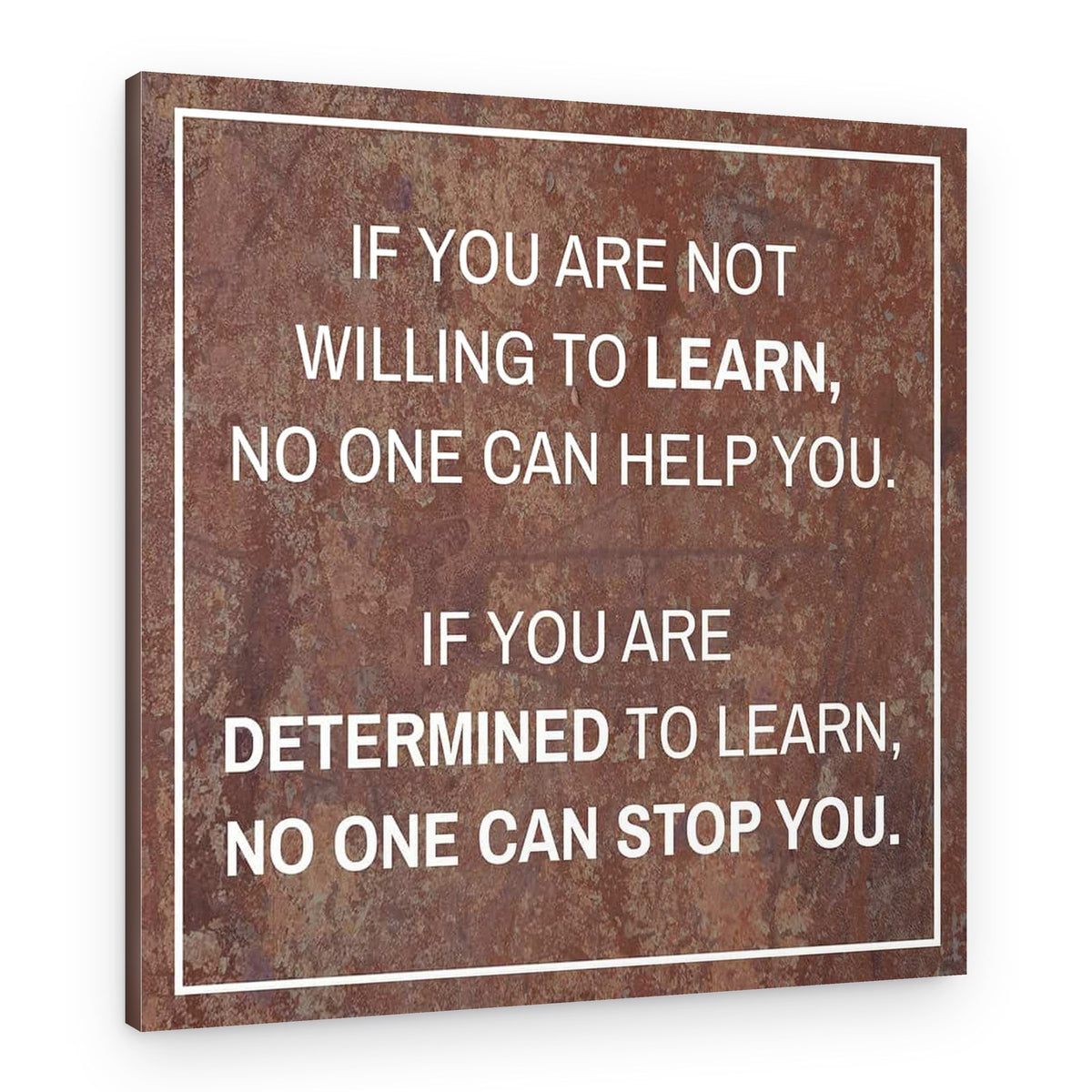 If You Are Not Willing To Learn No One Can Help You Canvas Print – Canvas Print
