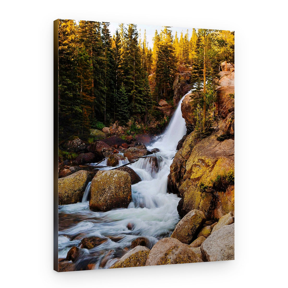 Golden Forest Waterfall – Canvas Print