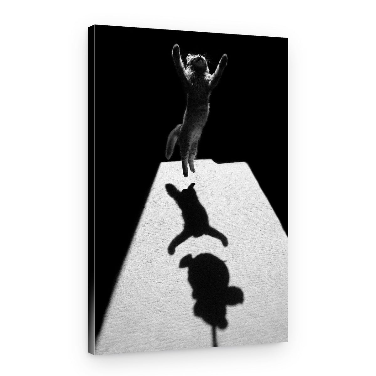 Jumping Cat Shadow – Canvas Print