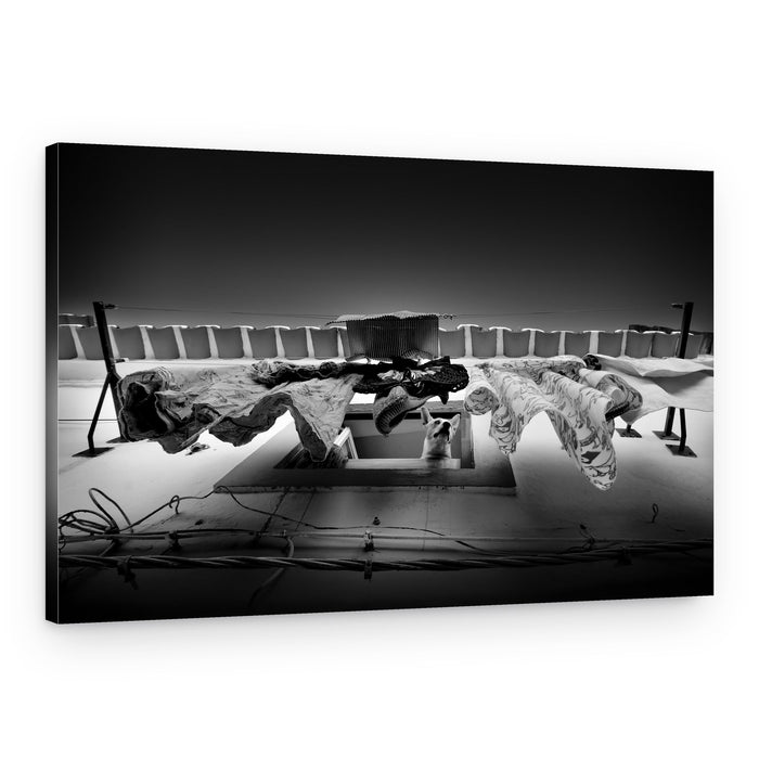 Rooftop Laundry Dog – Canvas Print