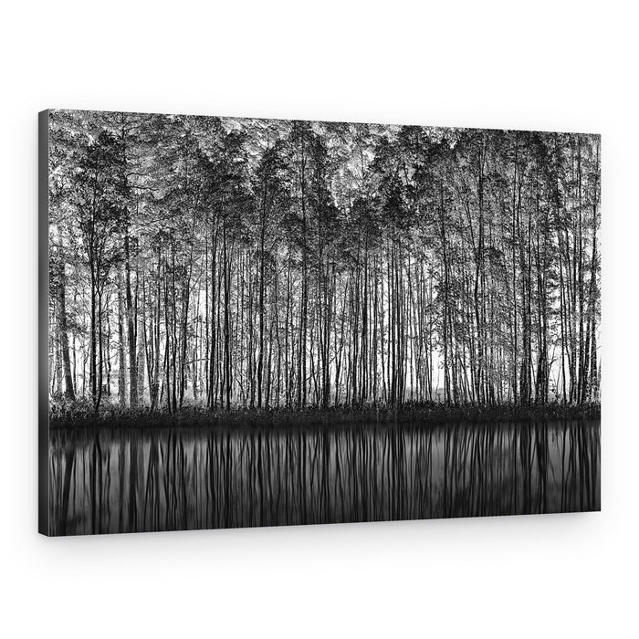 Black White Forest Reflections – Canvas Print