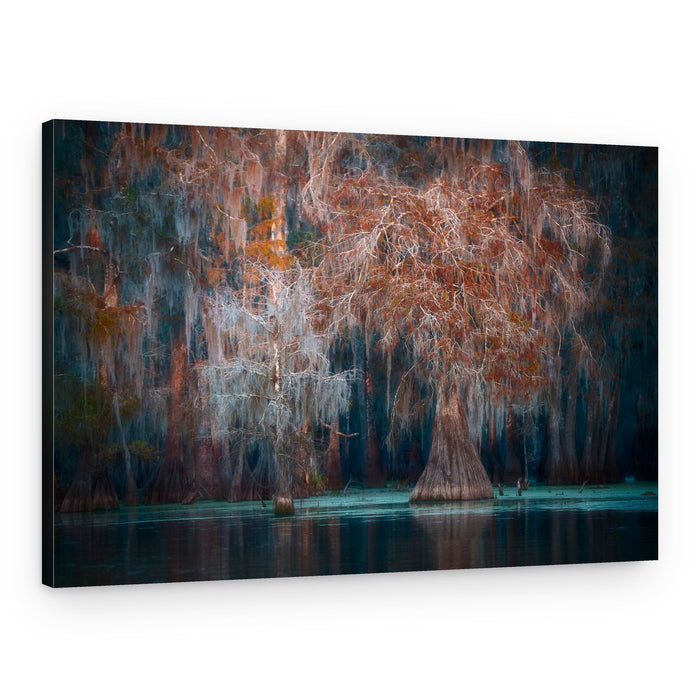 Mystical Cypress Swamp – Canvas Print