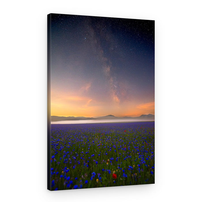Milky Way Flower Field – Canvas Print