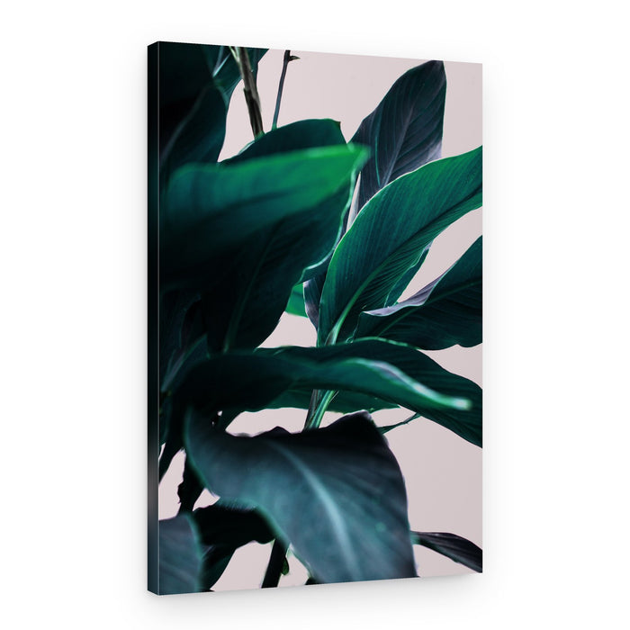 Elegance Of Tropical Leaves – Canvas Print