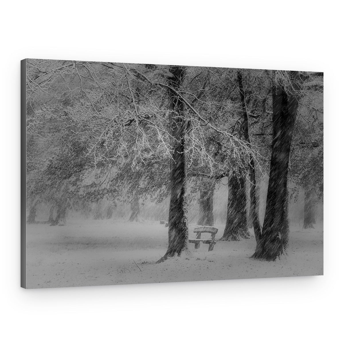 Snowy Park Bench – Canvas Print