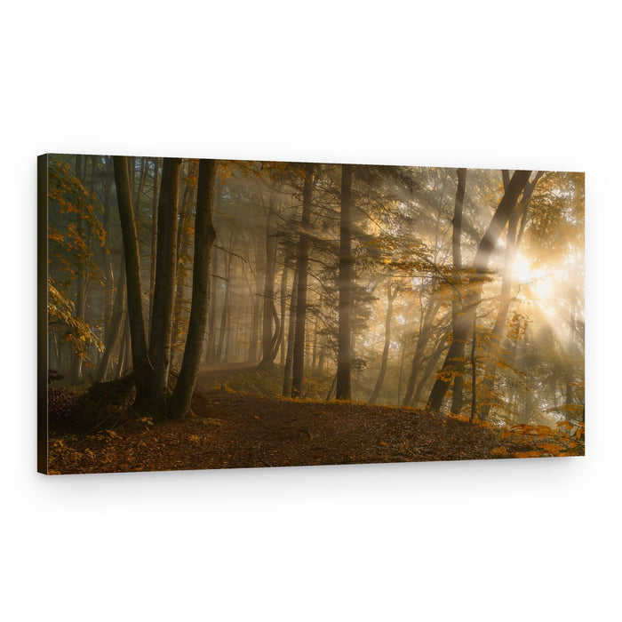 Misty Golden Forest – Canvas Print