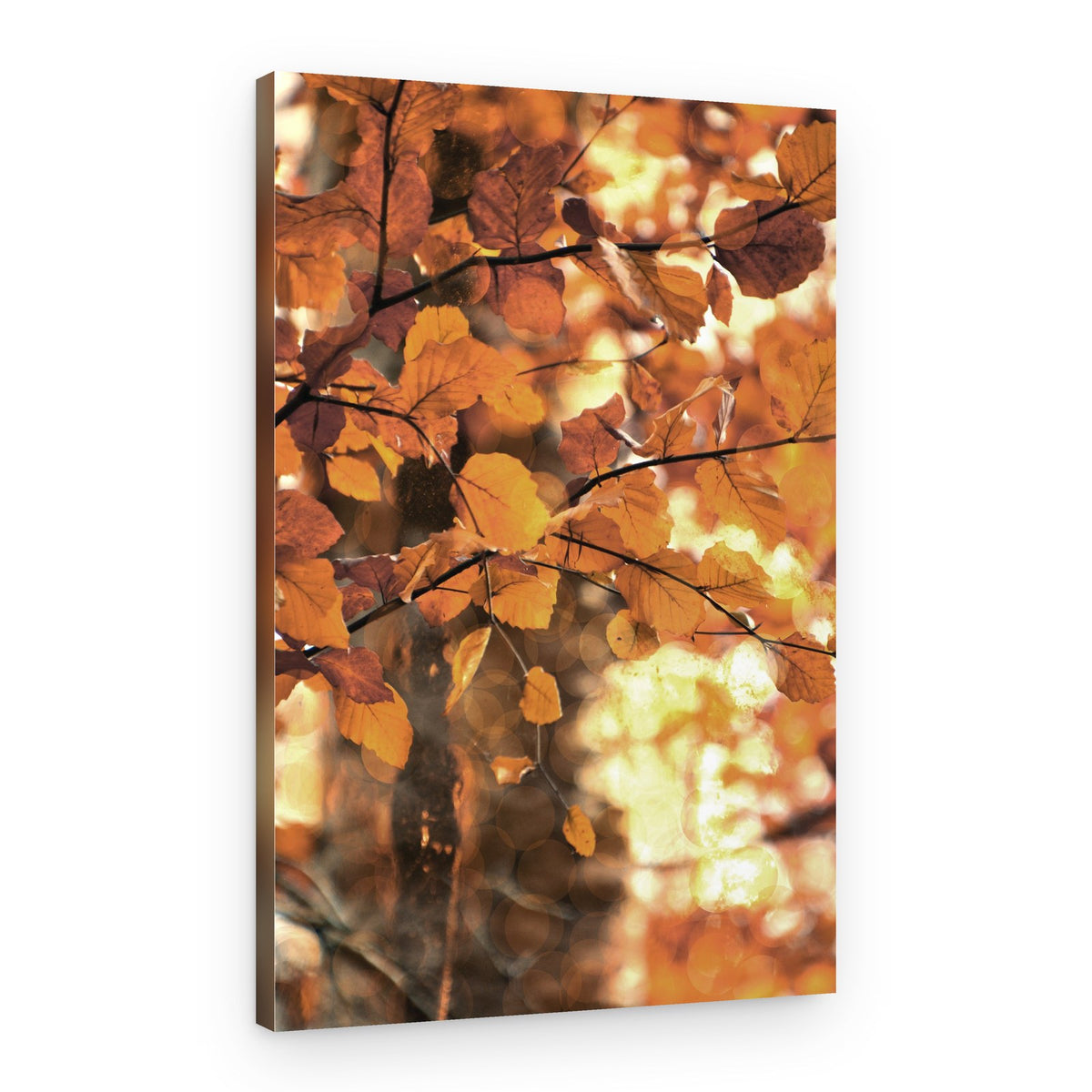 Golden Autumn Leaves – Canvas Print
