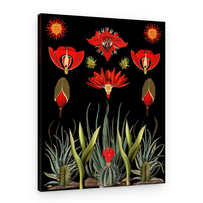 Red Desert Botanicals – Canvas Print