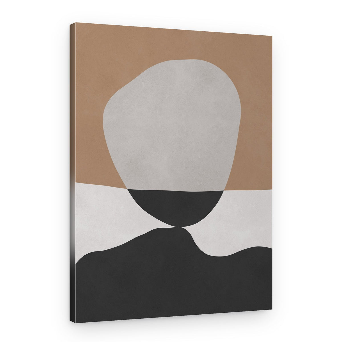 Balanced Organic Forms – Canvas Print