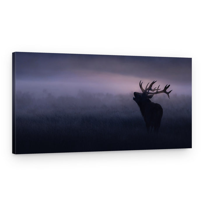 Majestic Elk in Fog – Canvas Print